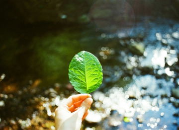 Hand holding a green leaf over a stream